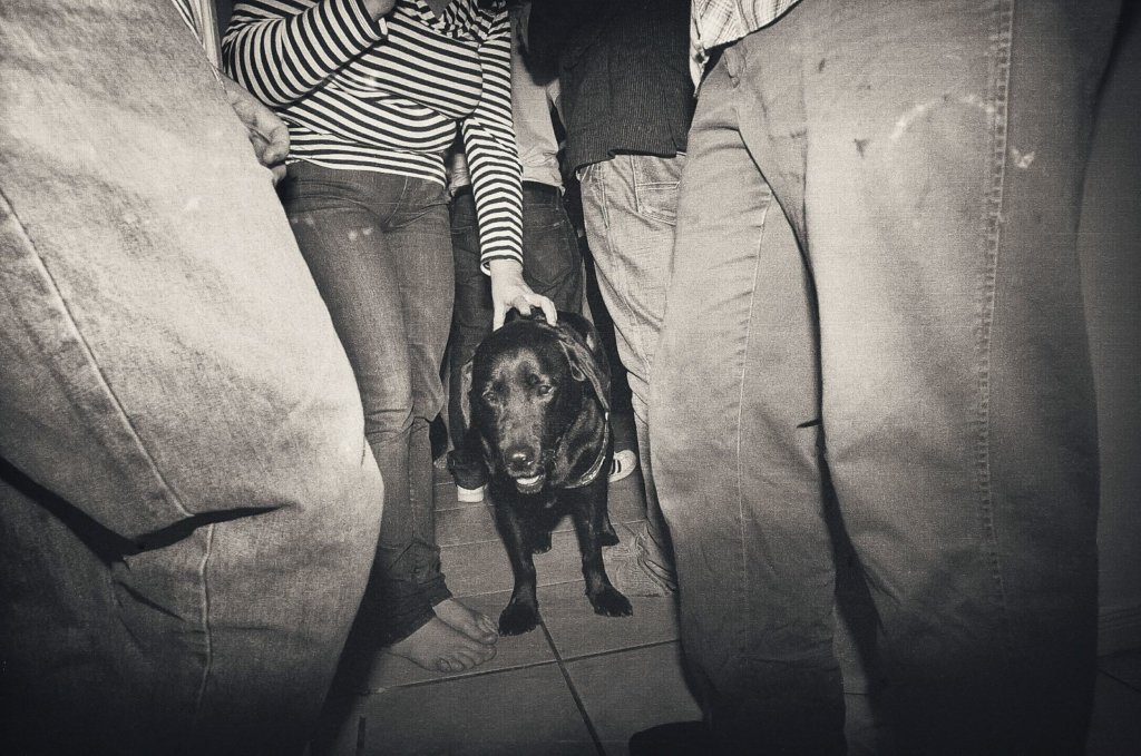 Peekay at a party